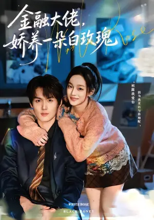 金融大佬,娇养一朵白玫瑰海报