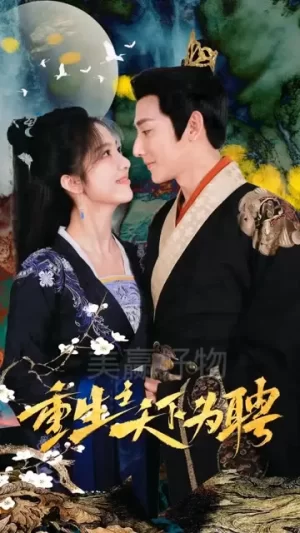 重生之天下为聘海报