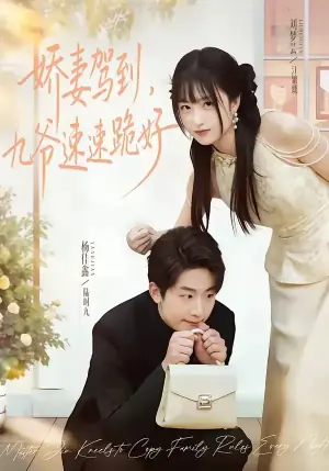 娇妻驾到,九爷速速跪好海报