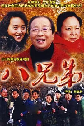 八兄弟[电影解说]海报