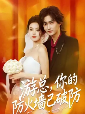 游总,你的防火墙已破防海报