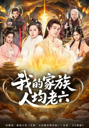 我的家族人均老六海报