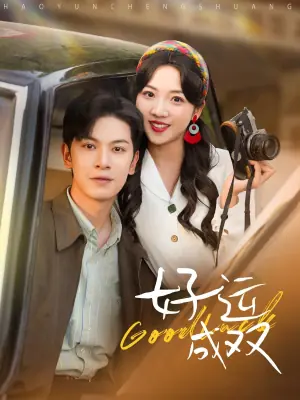 好运成双海报