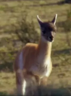 为跑而生的新生活海报