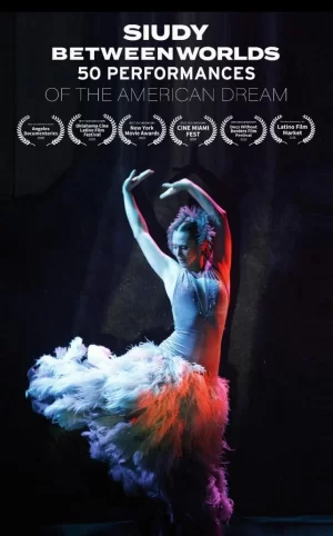 世界之间的西迪海报