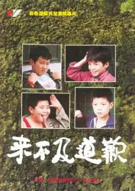 来不及道歉海报