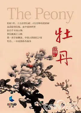 牡丹海报