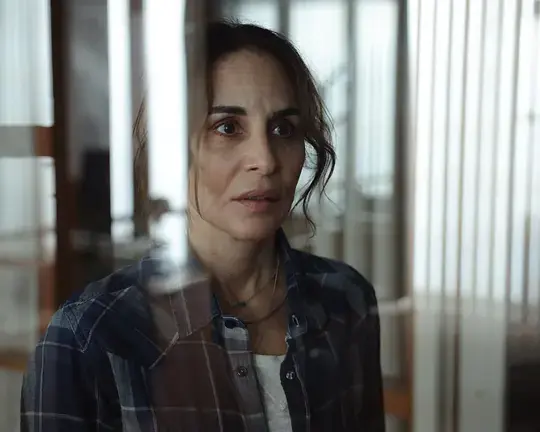 维罗妮卡第二季海报