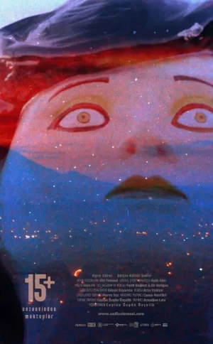 三个女犯人的监狱独白海报