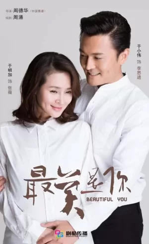 最美是你DVD版海报