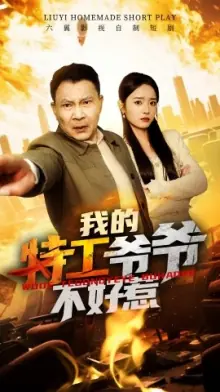 我的特工爷爷不好惹海报