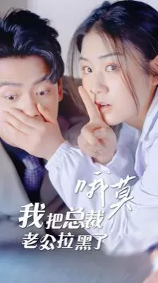 哦莫我把总裁老公拉黑了海报