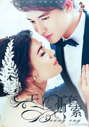 天鹅套索TV版海报