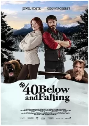 雪地真爱密码(台湾)海报