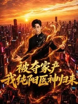被夺家产,我纯阳医神归来海报