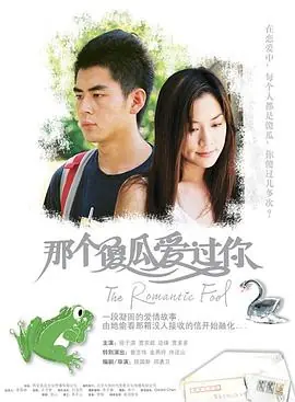 那个傻瓜爱过你(粤语)海报