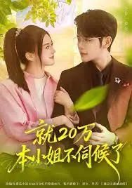 就20万!本小姐不伺候了海报