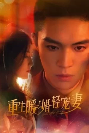 重生暖婚轻宠妻海报