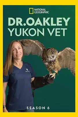 育空兽医第六季海报