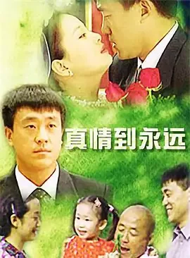 真情到永远海报