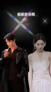 栀栀复栀栀海报