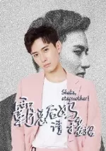 霸总后妈请接招海报