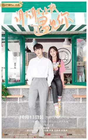 谢谢让我遇见你越南语版海报