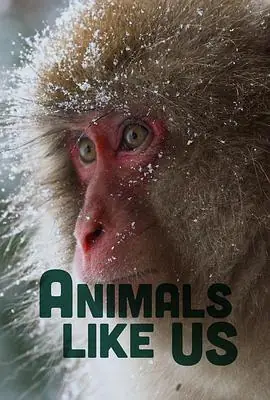 AnimalsLike海报