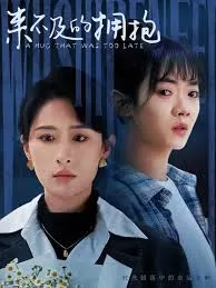 来不及的拥抱海报