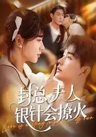 封总,夫人银针会撩火海报