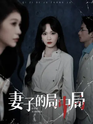 妻子的局中局海报