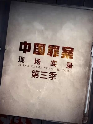罪案现场实录第三季海报