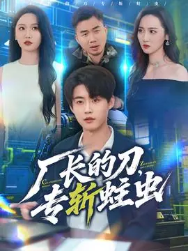 厂长的刀,专斩蛀虫海报