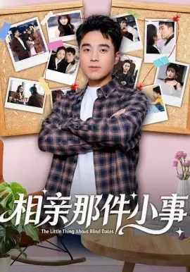 相亲那件小事海报