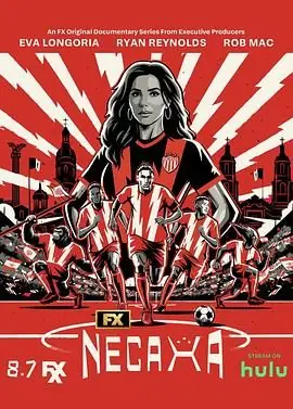 欢迎来到内卡萨海报