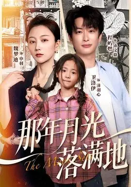 那年月光落满地海报