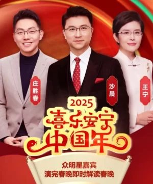 除夕之夜特别节目<喜乐安宁中国年>海报