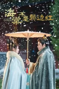 海棠不是鬓边红海报