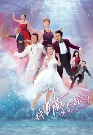 我瞒结婚了海报