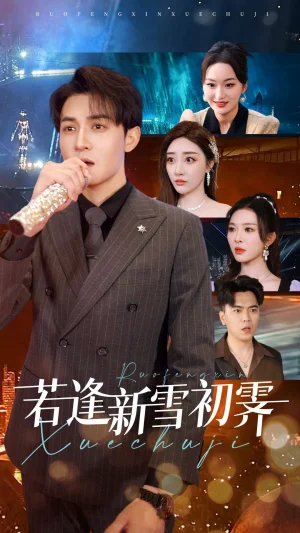 若逢新雪初霁海报
