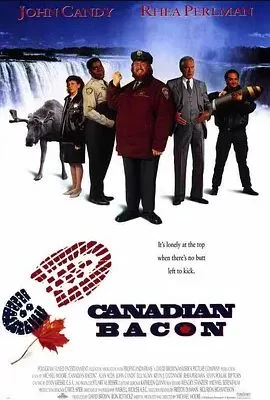 反转加拿大海报