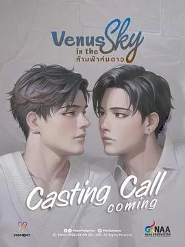 天空中的金星海报