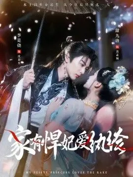 家有悍妃爱纨绔海报