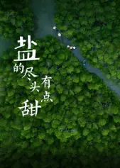 盐的尽头有点甜海报