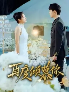 再度倾慕你海报