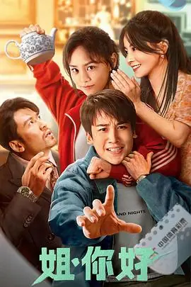 姐,你好海报