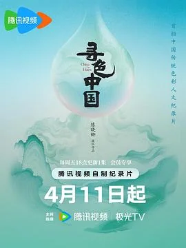 寻色中国海报