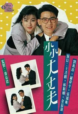 小小大丈夫(粤语)海报