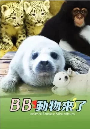 动物宝宝迷你特辑海报