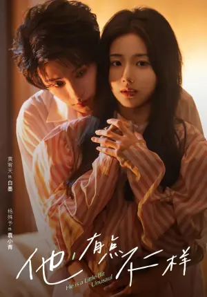 他!有点不一样海报